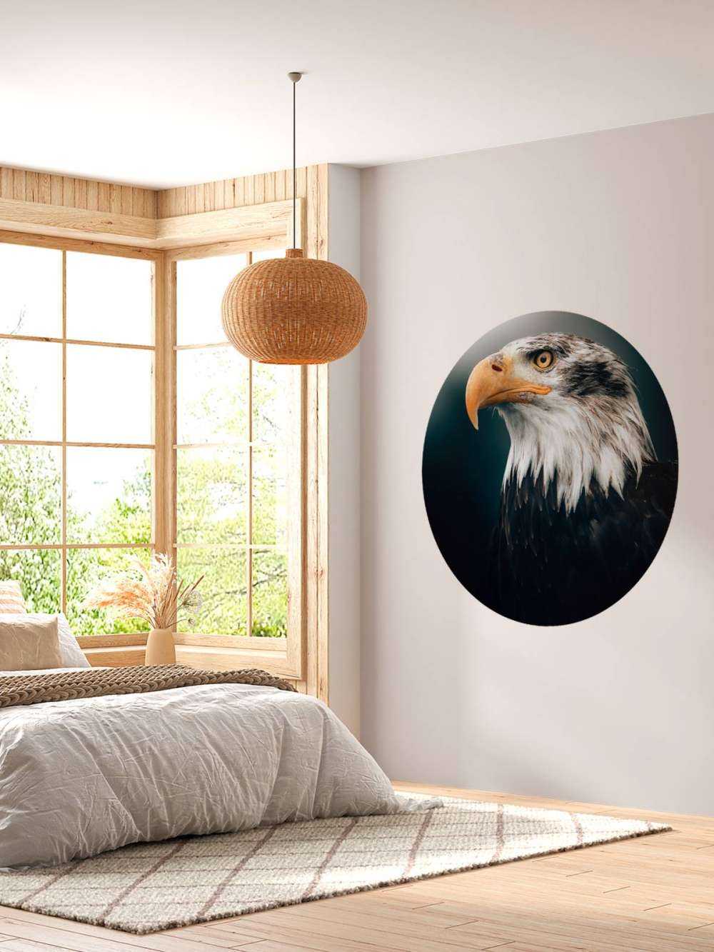Close-up sea eagle