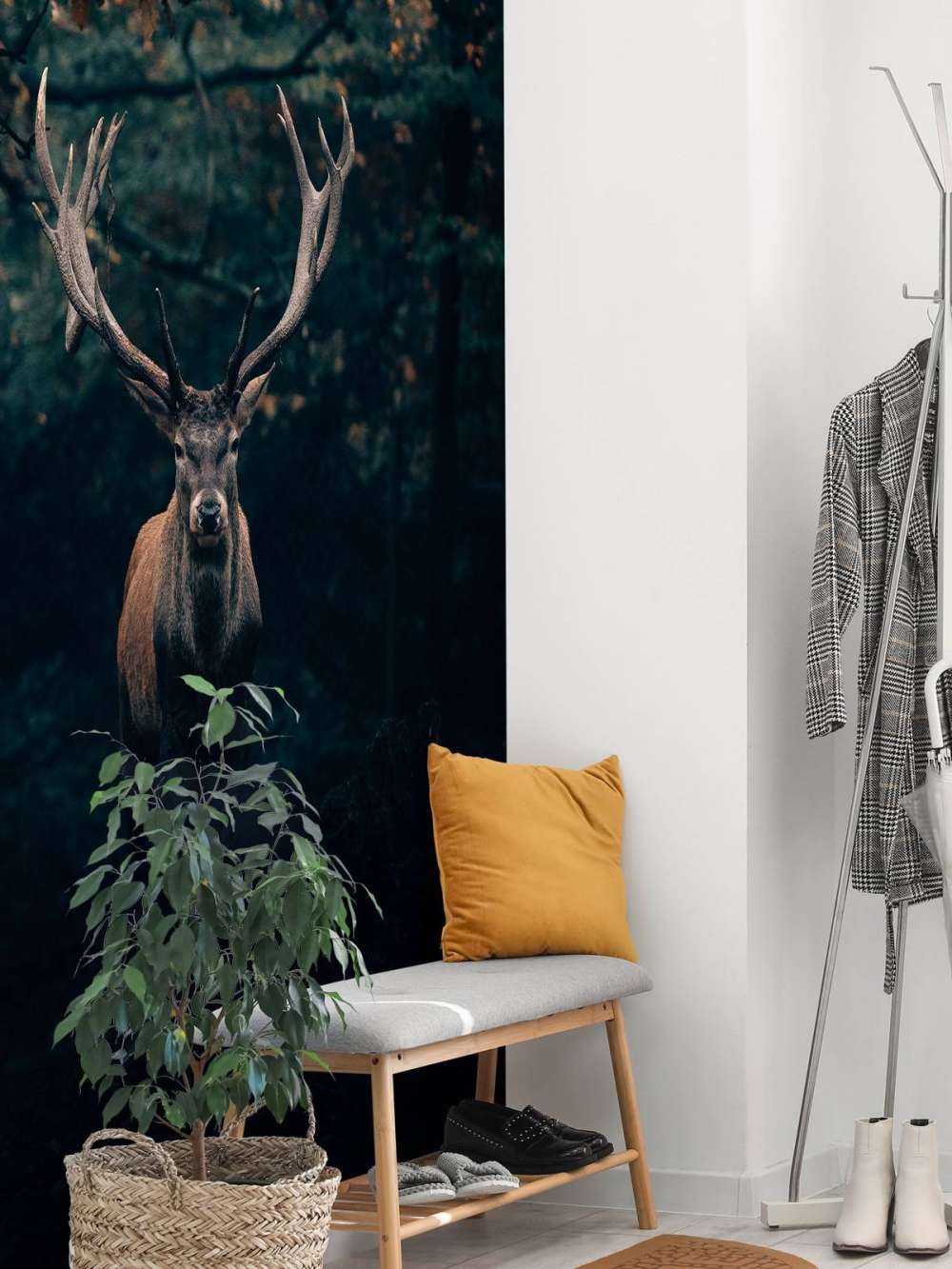 Fallow deer in the woods