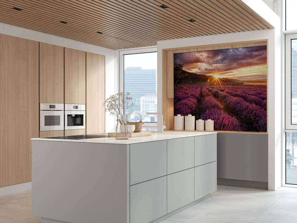 Lavender under the sun