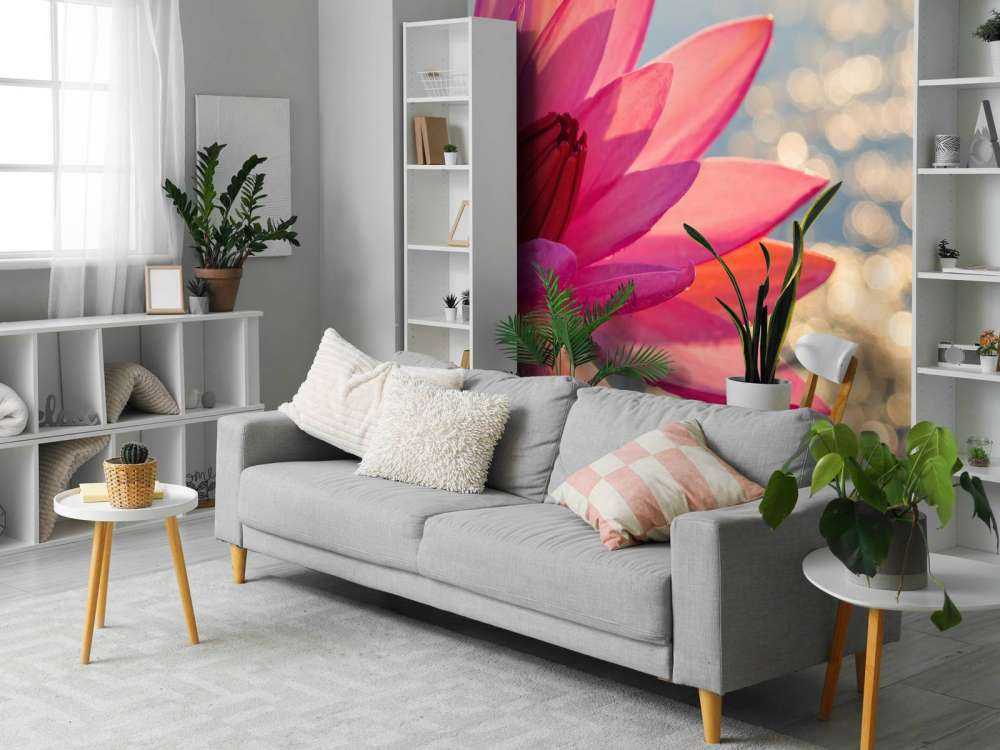 Lotus flower on water