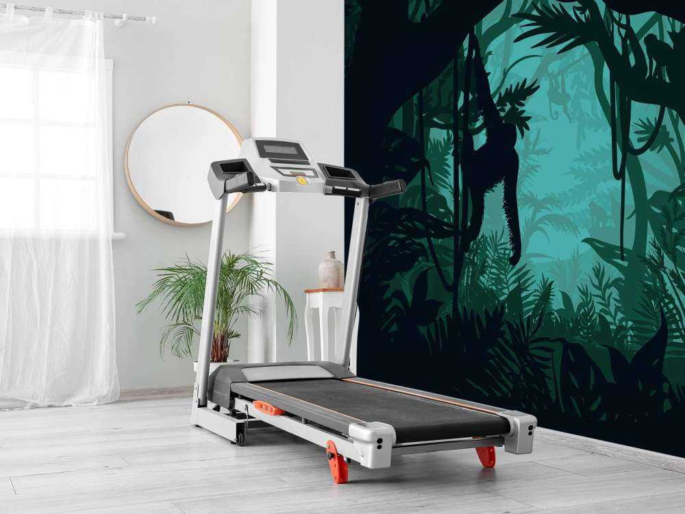 Monkey in the jungle