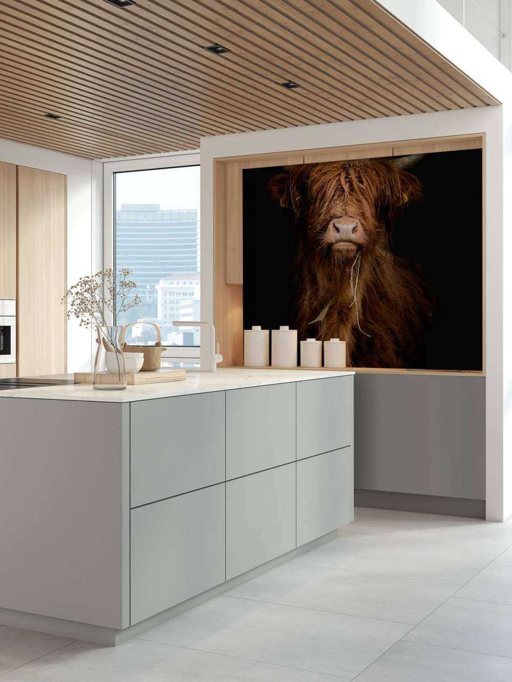 Portrait Scottish Highlander