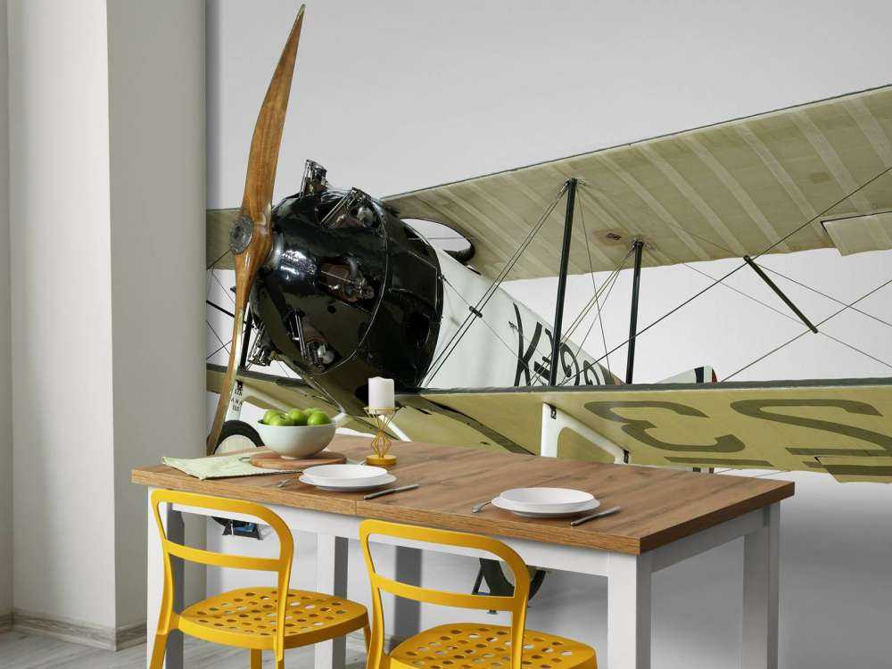 Old plane FK 23 Bantam