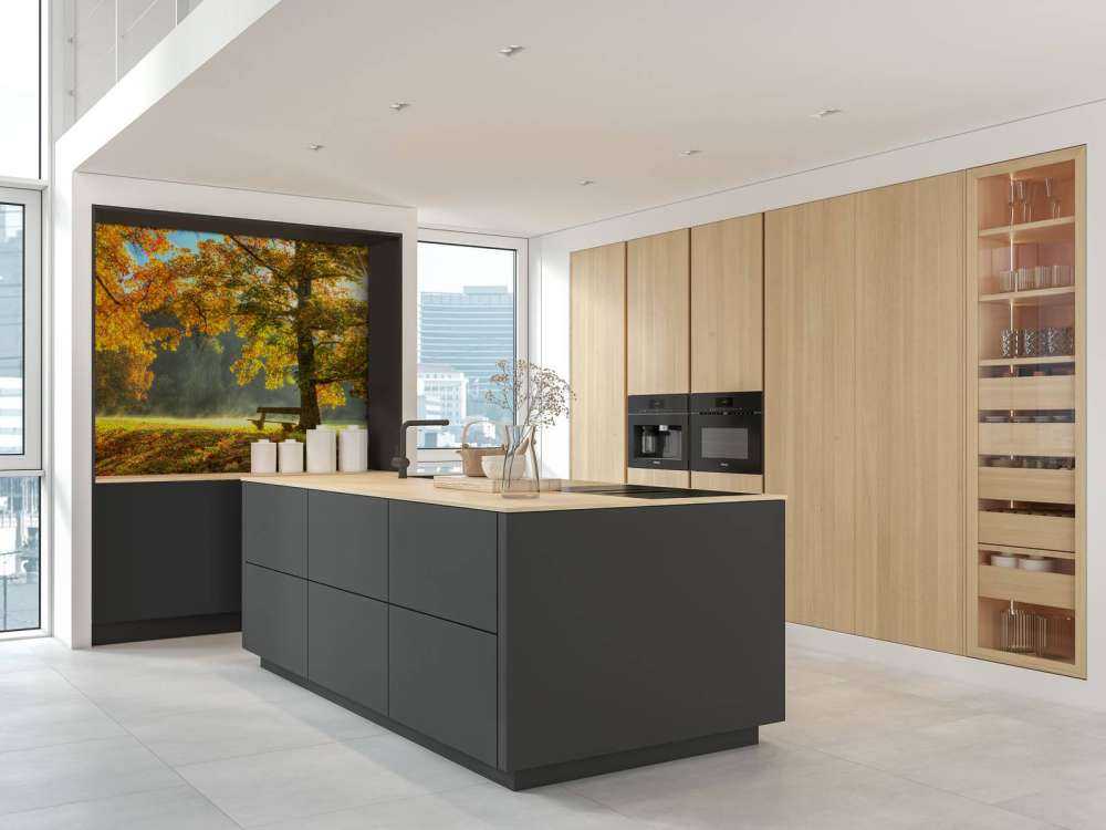 Tree in autumn colours