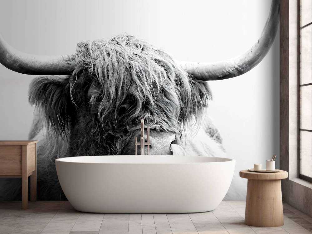 Funny Scottish Highlander