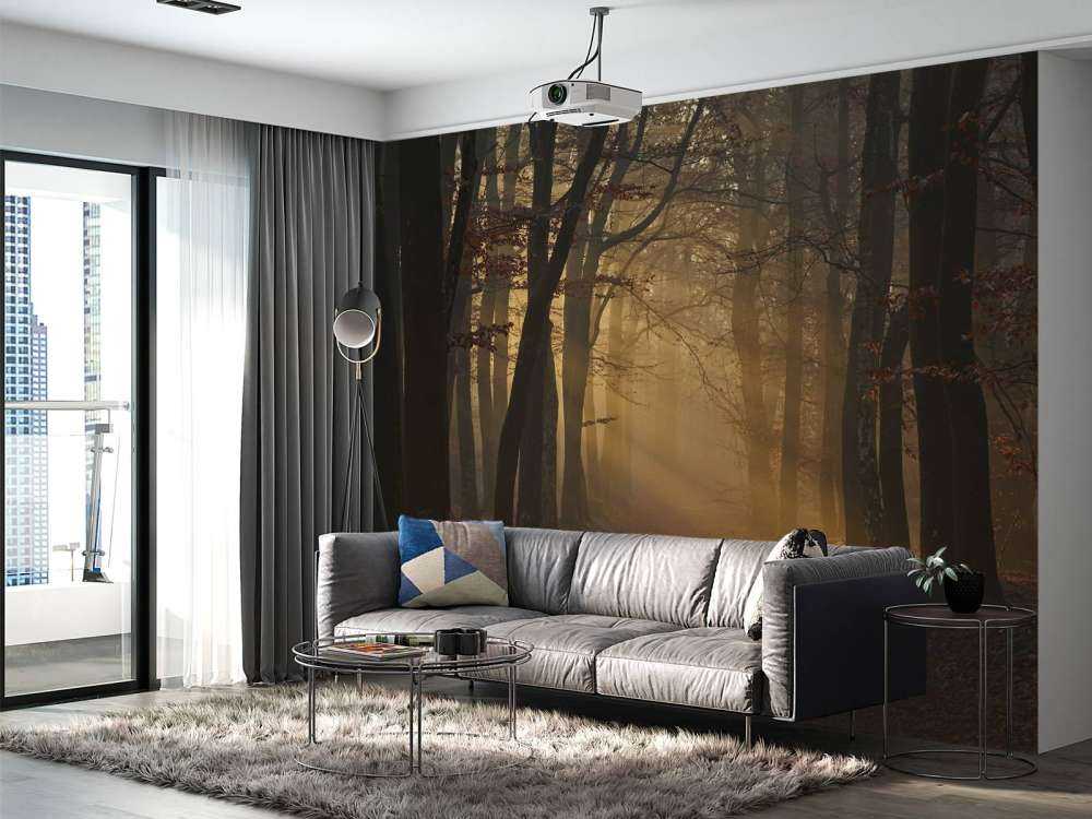 Mysterious autumn forest