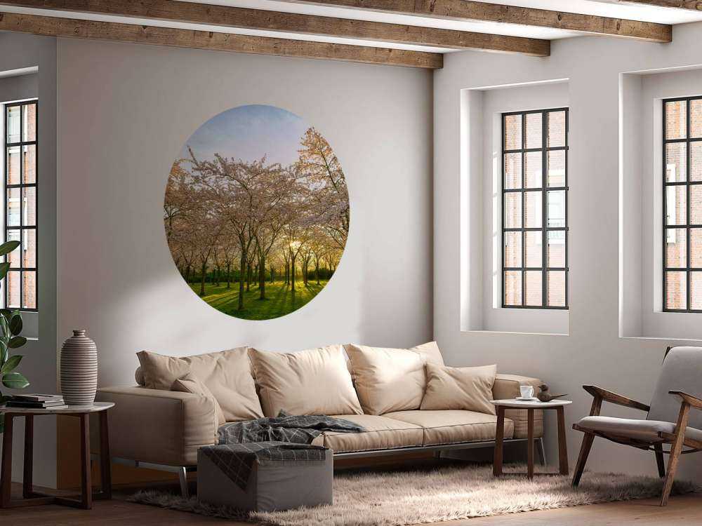 Flowering blossom trees