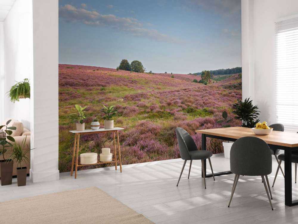 Flowering heather