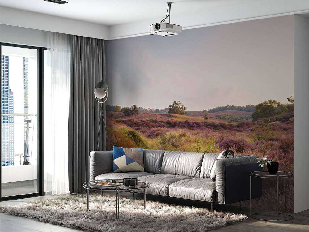 Heathland at sunrise