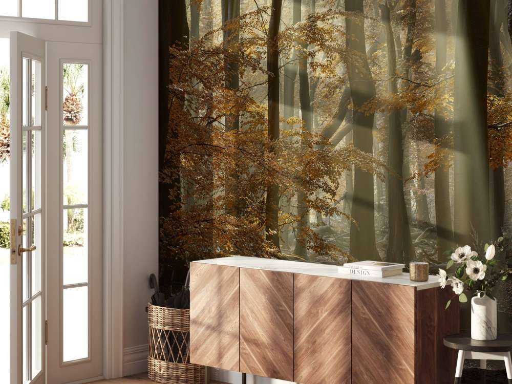 Autumn colours in the forest