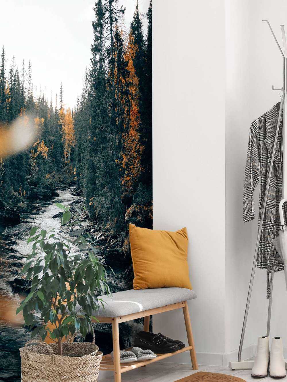 Enchanted autumn forest