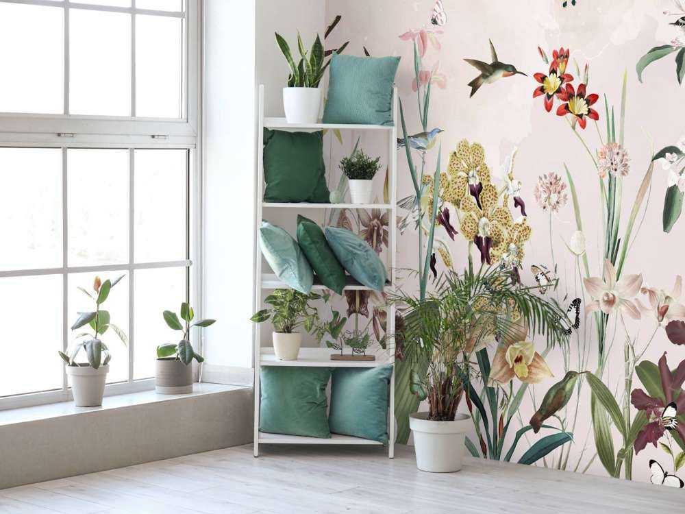 A garden full of my dreams