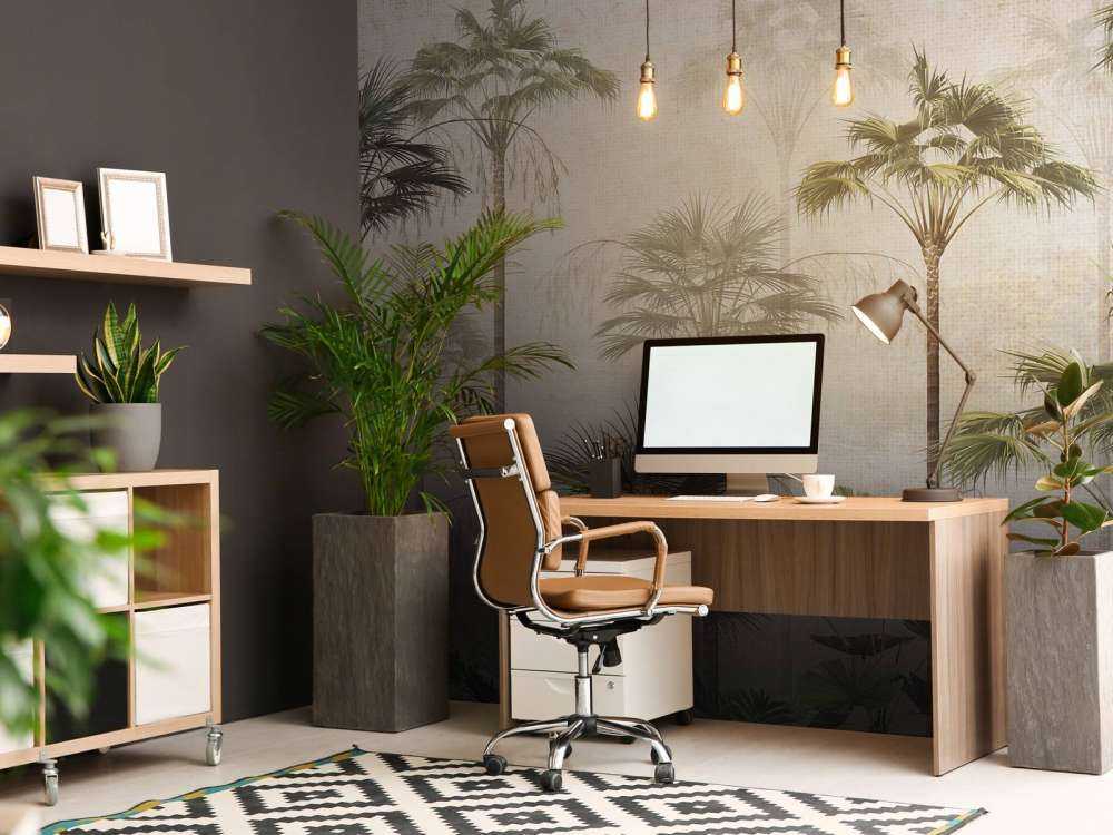 Stilled Palm Serenity