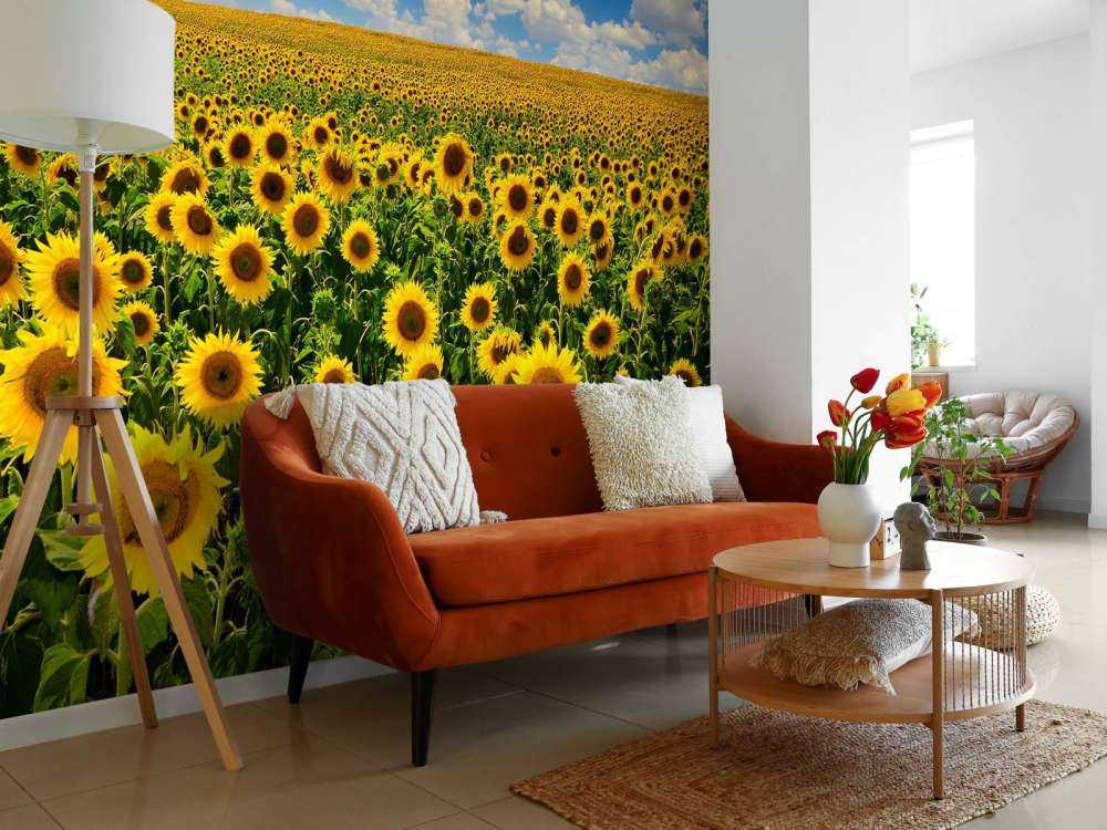 Zonnebloemveld onder een heldere lucht