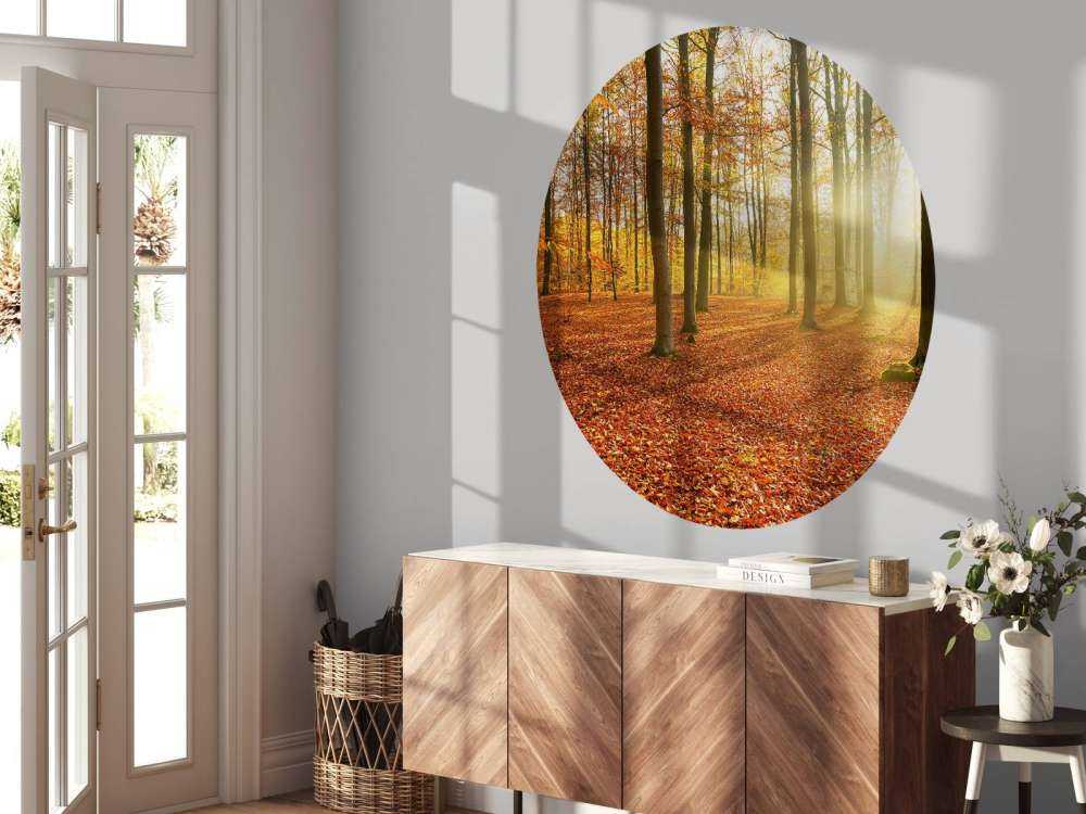 Autumn morning in forest