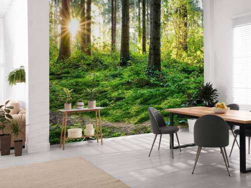 Forest panorama in spring