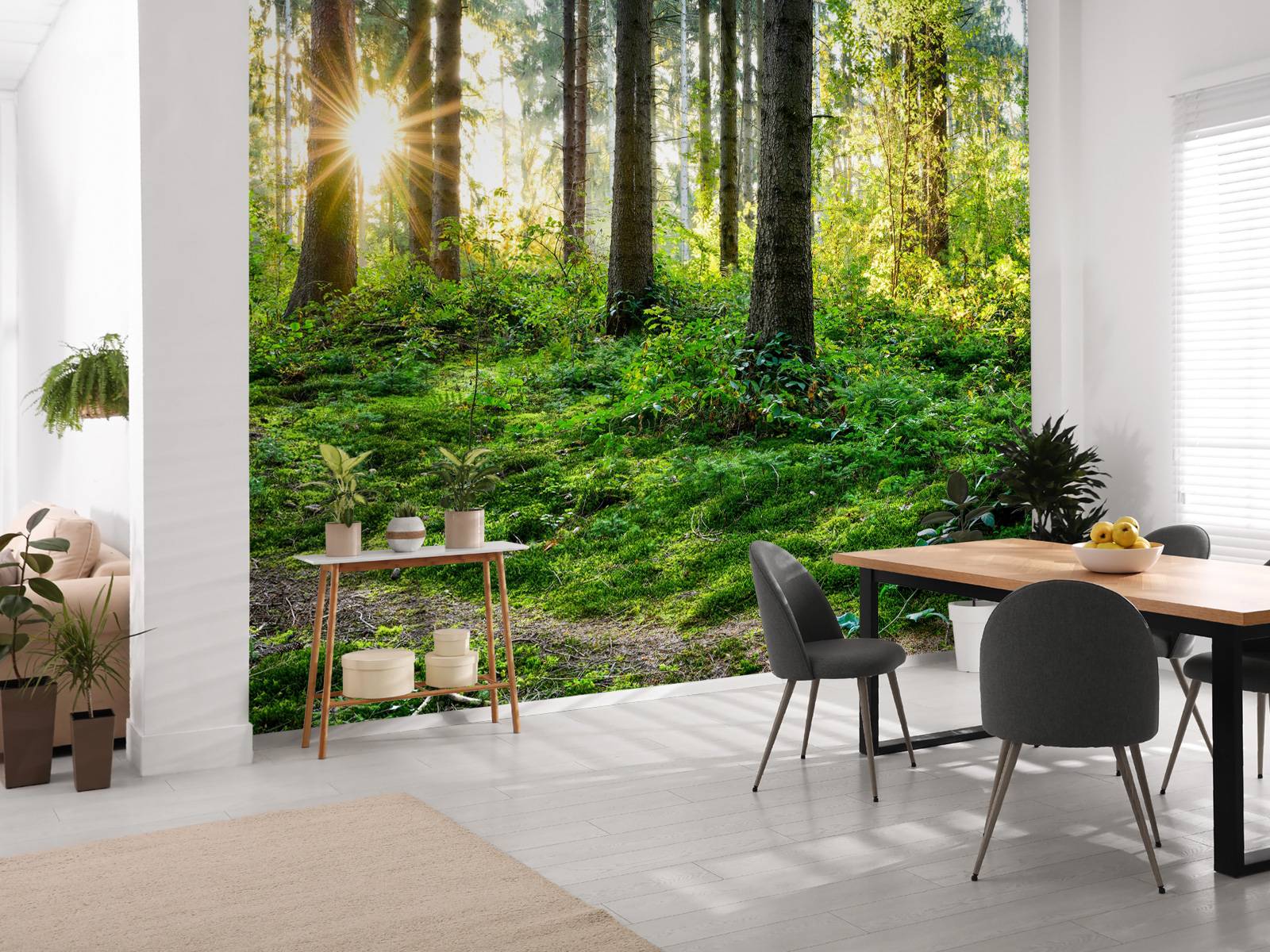 Forest panorama in spring