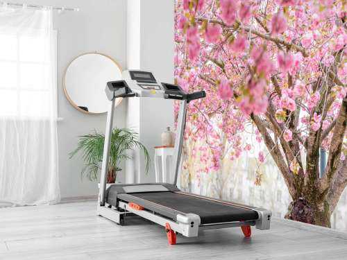 Blossom tree