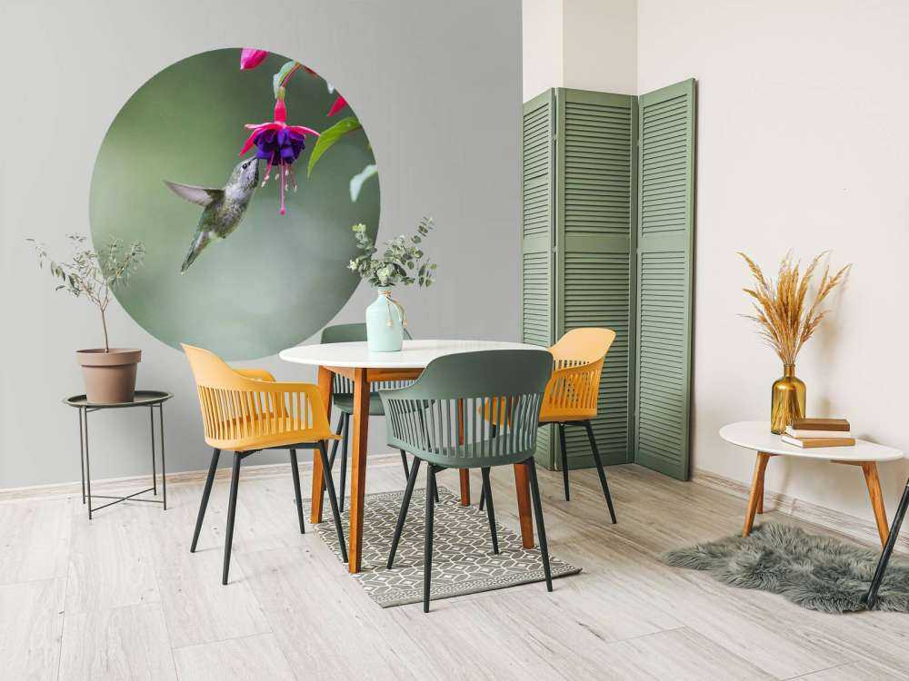 Hummingbird drinking