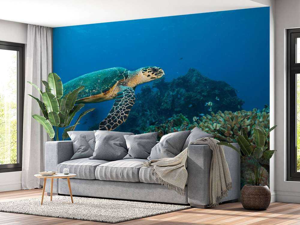 Karetschildpad bij een koraalrif