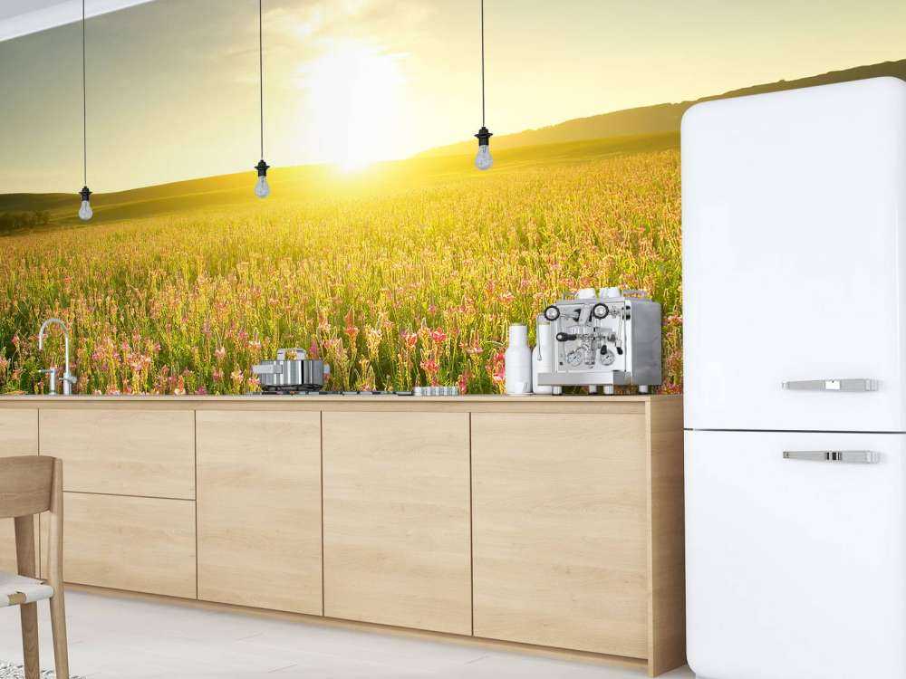 Zonsopkomst bij een bloemenveld