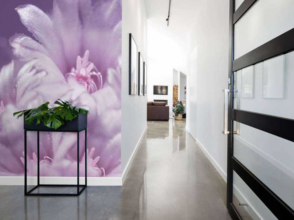 Roze bloemen met een paarse achtergrond