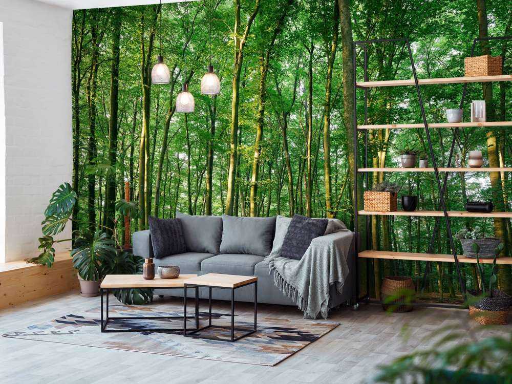 Green forest 