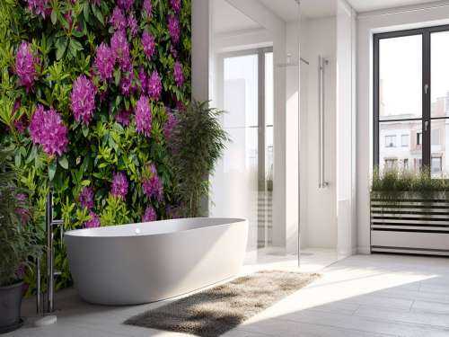 Rhododendrons 