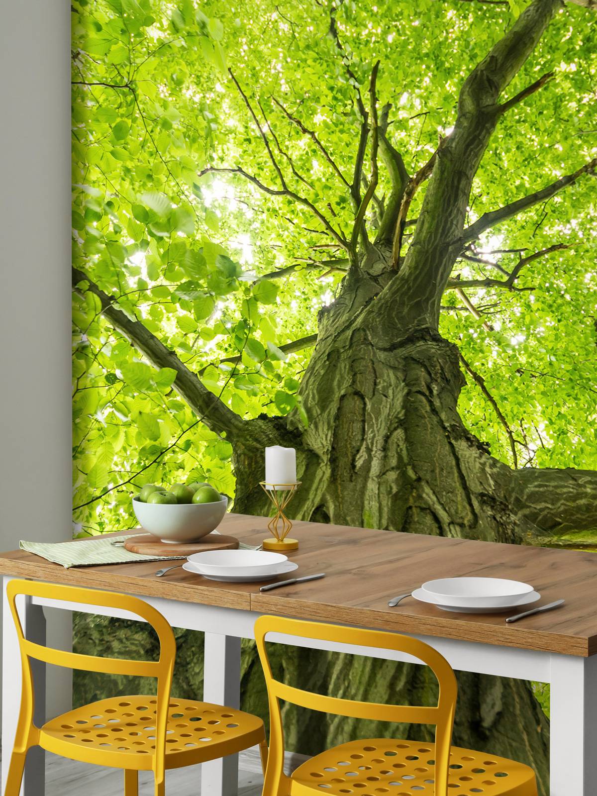 Large tree in the forest
