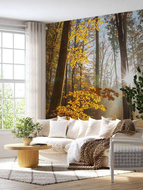 Autumn forest