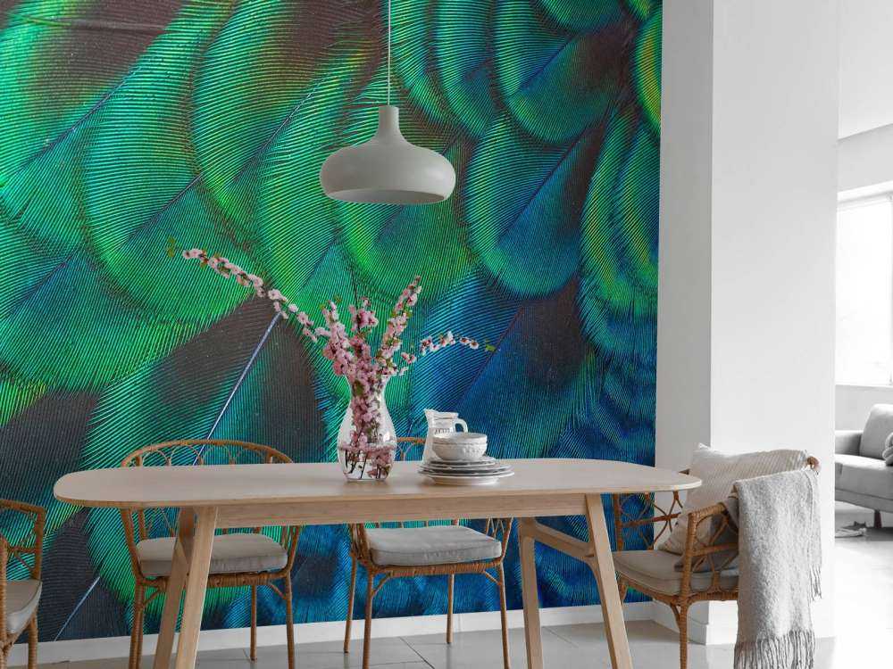 Close-up of peacock feathers