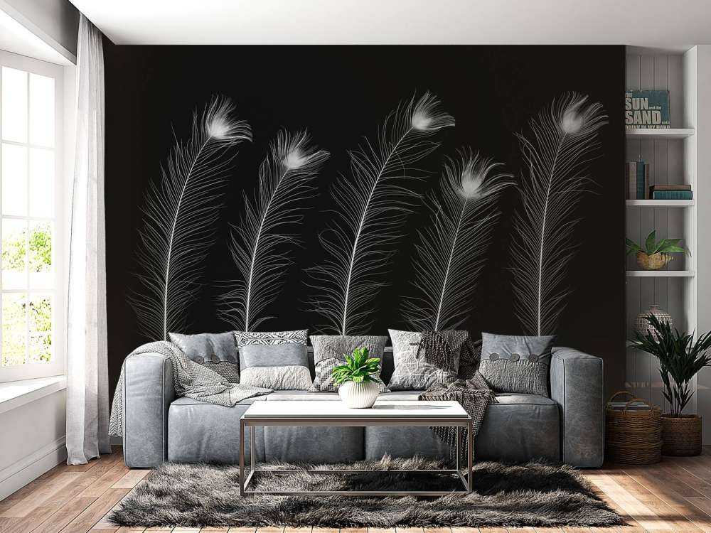 White peacock feathers