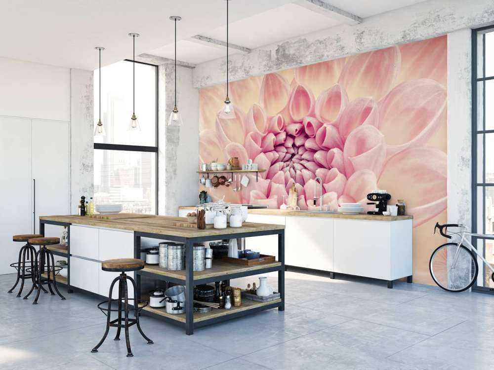 Dahlia close-up photo