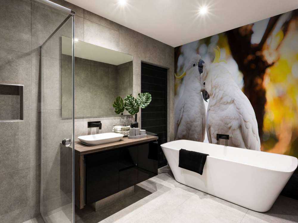 Cockatoo couple