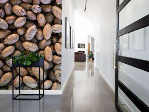 Pecans