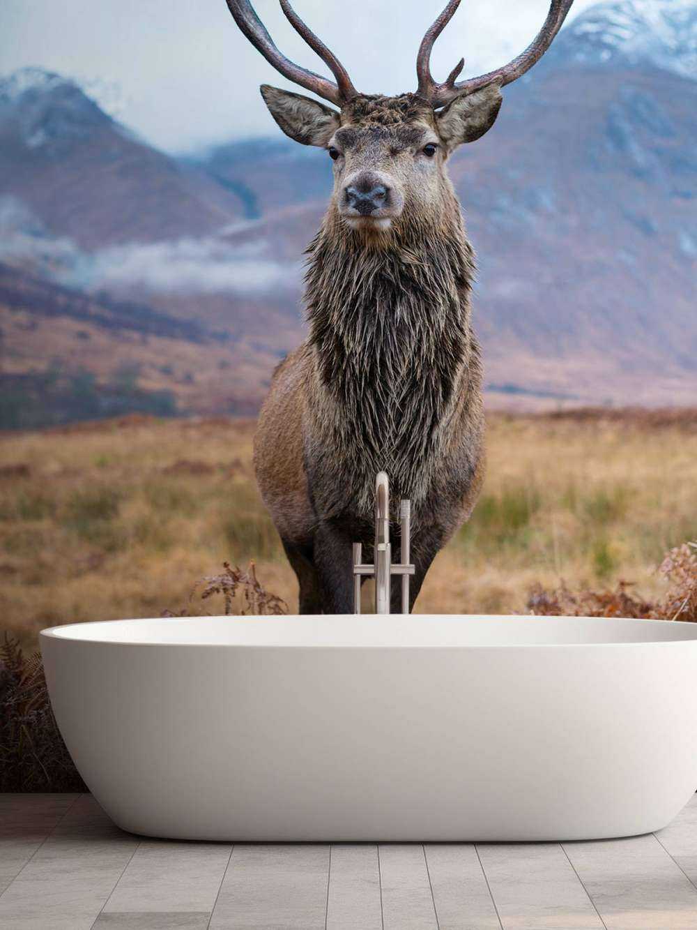 Deer in the mountains