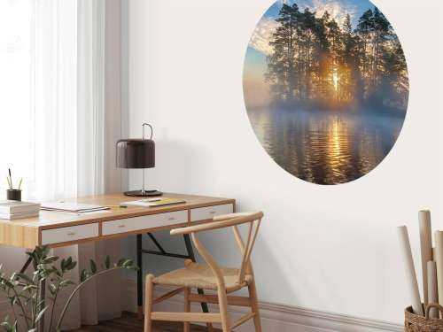 Morning light