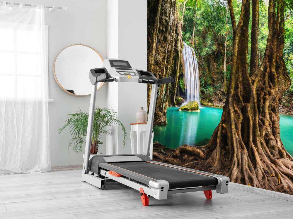 Waterfall in tropical jungle