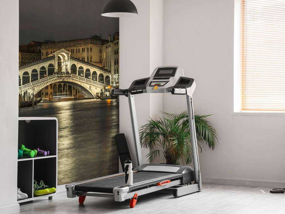 Rialto bridge in the evening