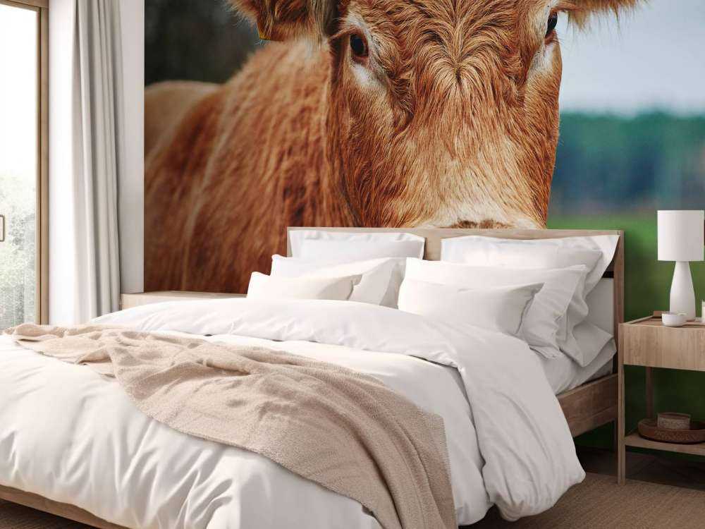 Portrait of a cow