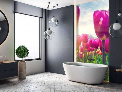 Tulipfield pink
