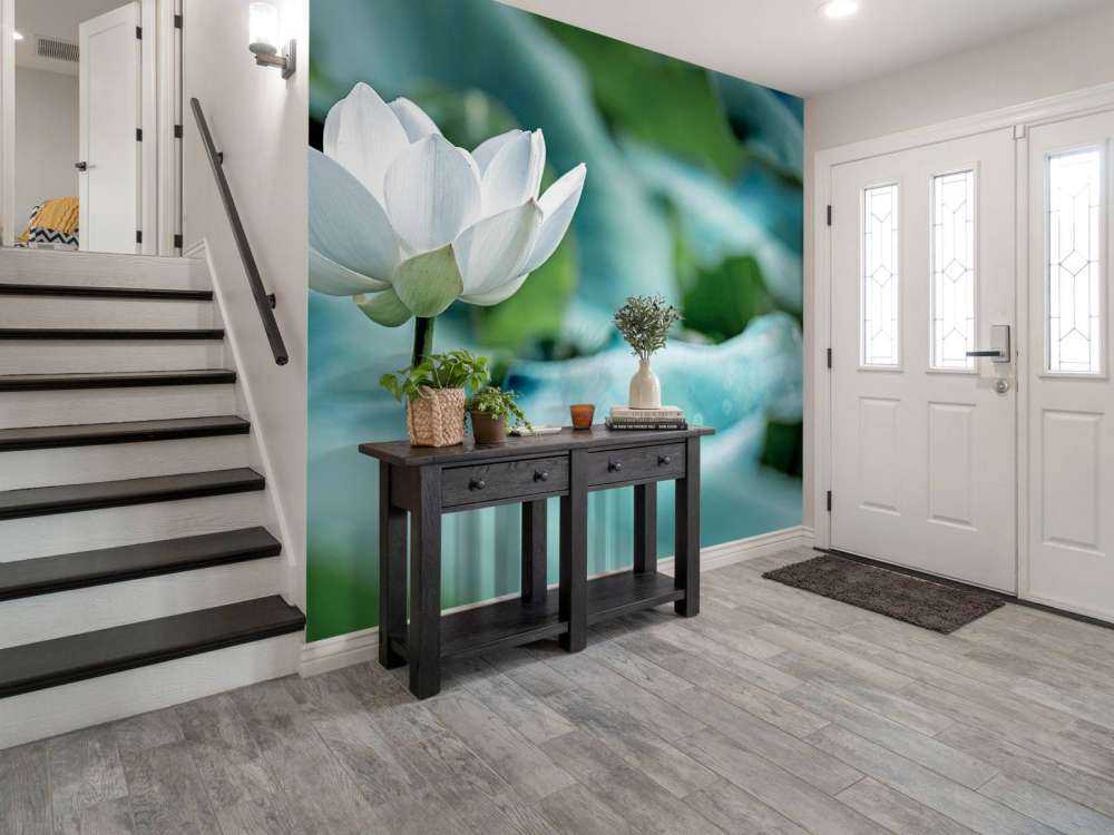 White lotus flower
