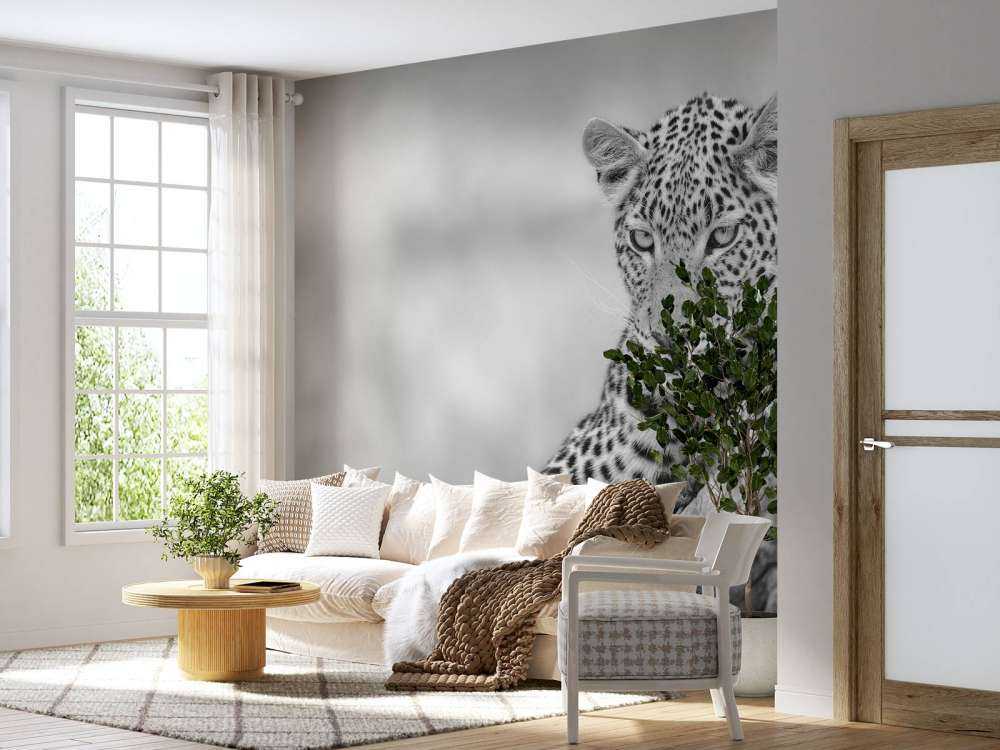Leopard black, white