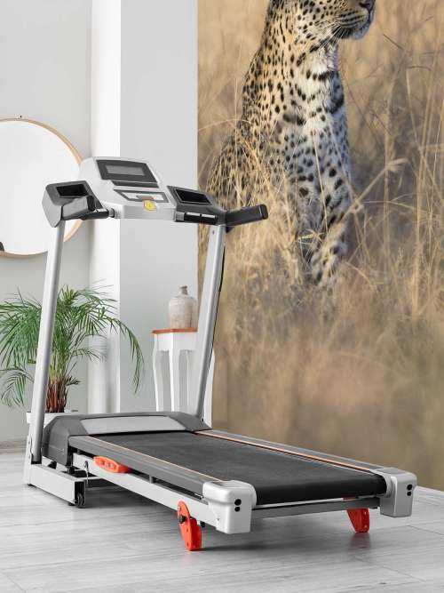 Hunting leopard