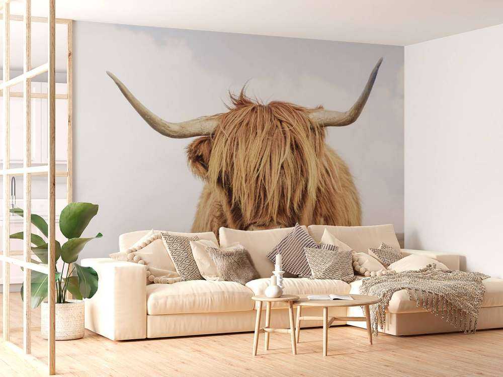 Close-up of a Scottish Highlander