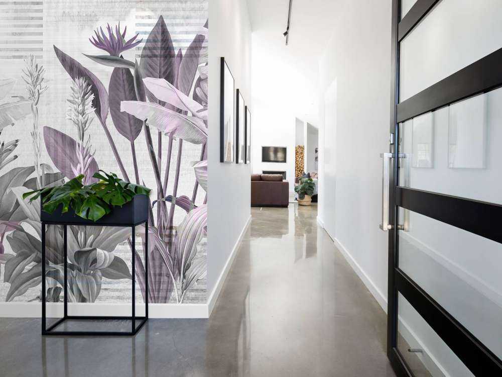 Dreams and Tropics 5