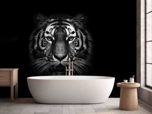 Dark Tiger