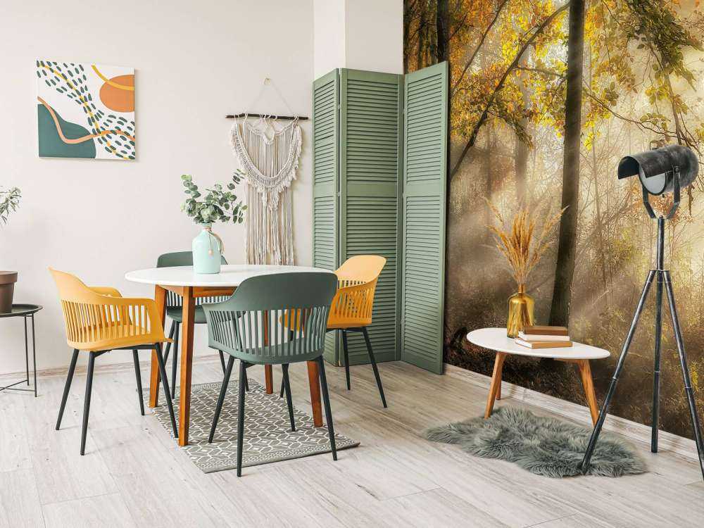 The lights of the forest