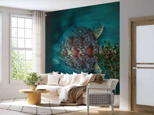 Vaclocity Turtle