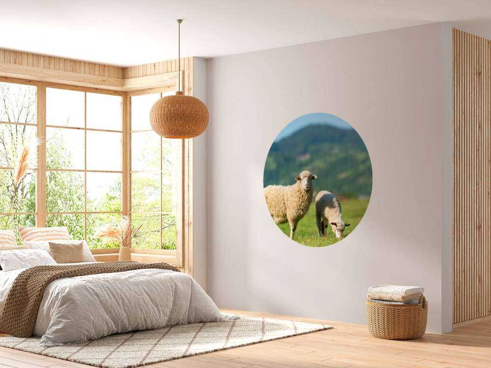 Two sheep in the pasture